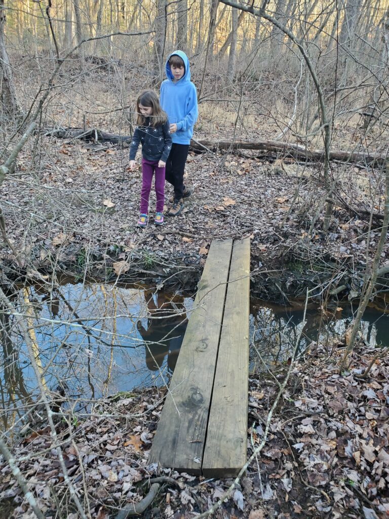 Kids on the far side of a creek with a wooden bridge in front of them.